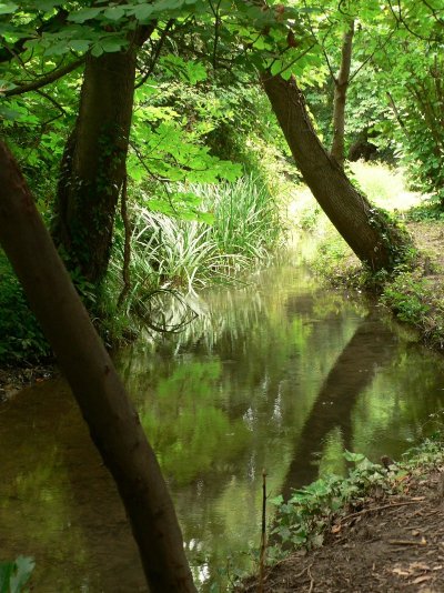 Bouches-du-Rhône en Paysages - Maussane, au fil de l'eau