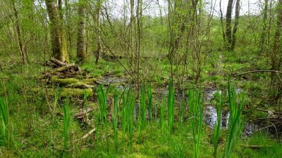 Le Moulin de la ville