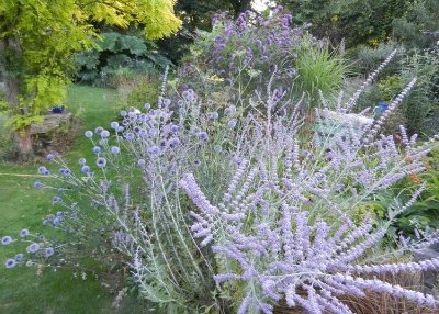 LE JARDIN DE LA PLAGE VERTE