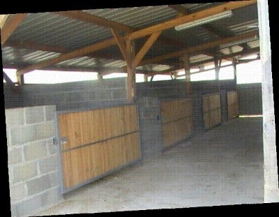 Equiteam Compétition – Elevage du Bailly