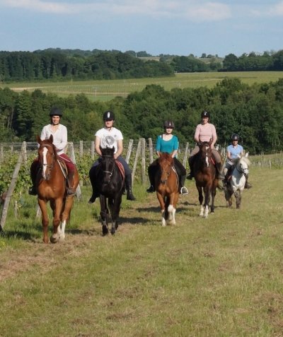 Loire Layon Equestre