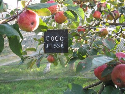 VERGER DE LA GARENNE