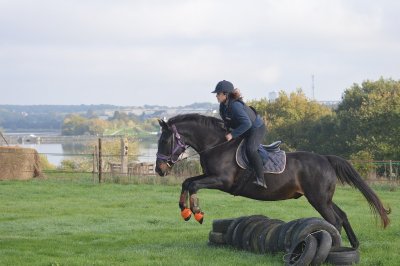 La Voie des Plantagenêts - Chemin de Compostelle