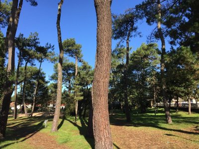 SQUARE MAURICE PICONNIER