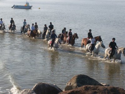 Centre hippique de la Mer