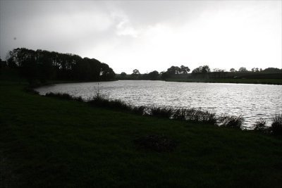 Plan d'eau de Teillé