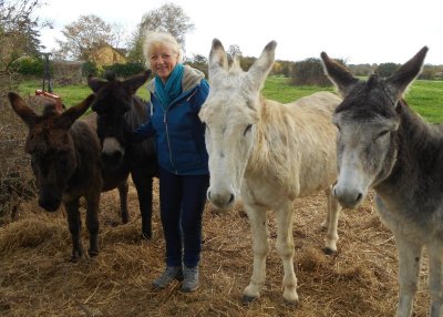 LES ANES DU BIAU CHEMIN