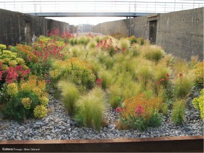 JARDIN DU TIERS PAYSAGE - GILLES CLÉMENT