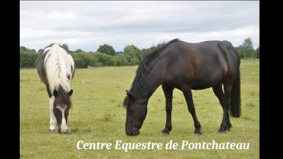 Centre équestre de Pontchâteau
