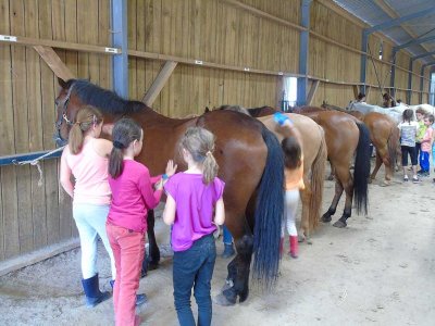 CENTRE EQUESTRE DES RONCINNIÈRES