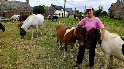 Equitation - Haras de la petite Boëlle