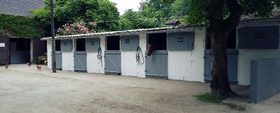 CENTRE ÉQUESTRE DE L'ERDRE