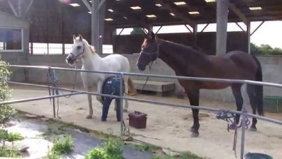 JOALLAND ÉQUITATION