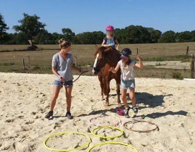 Équimotricité© Ter'Anima