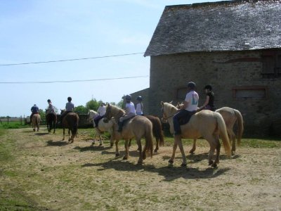 Equitation - Ferme équestre du Mont Cruchet