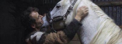 La Cavalerie Des Mésangères