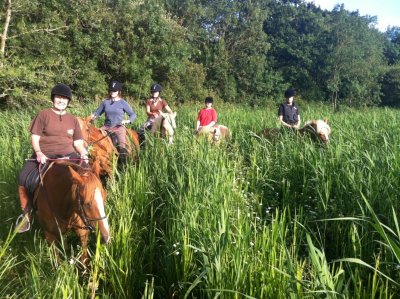 Ferme équestre Les Roseaux de Goulaine