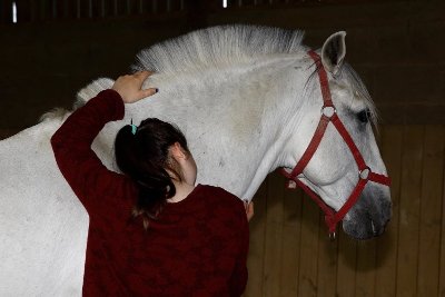 LE DOMAINE DES ÉCUYERS
