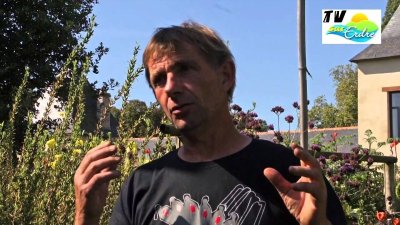 JARDIN SAFFRÉ JOLI TOUT FLEURI