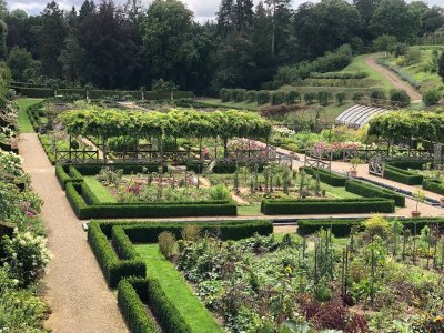 Potager du Château Colbert