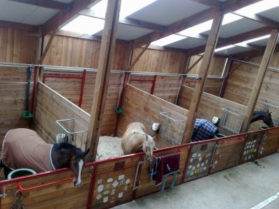 Écurie Seven Passion