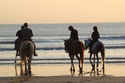 LES ÉCURIES DE SAINT-BREVIN