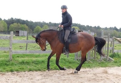 Centre de tourisme équestre "Cheval St Laud"