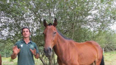 Ecuries de la Roselière