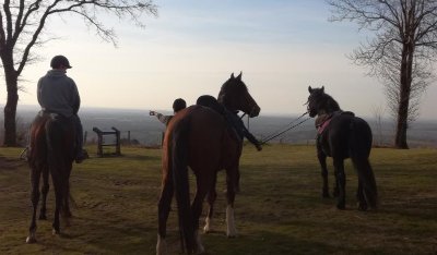 FERME EQUESTRE LA LICORNE
