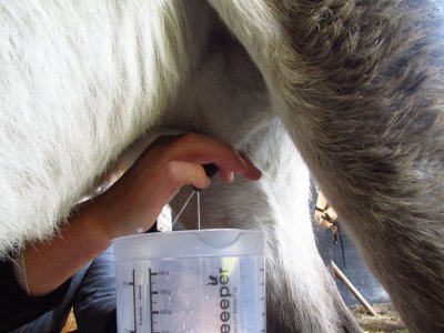 La p'tite ferme de Mélie