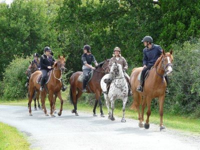 Centre équestre Les Ecuries de Lessac