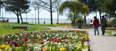 LE JARDIN DES PLANTES