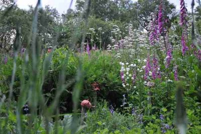 LE JARDIN MÉDICINAL  DE L'ERMITAGE