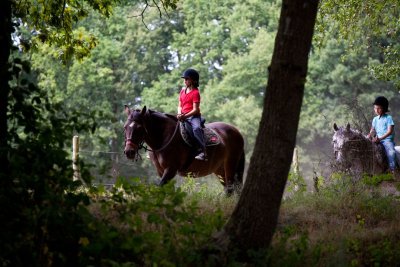 Centre équestre La Vallée