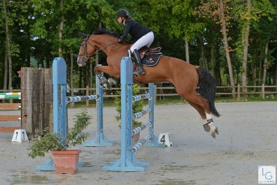 Centre équestre l'Escapade - écurie Charlotte Rostin