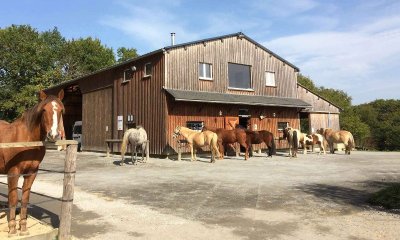 FERME ÉQUESTRE CRINIÈRES AUX VENTS