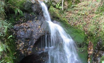 Les cascades de l'Erzenbach