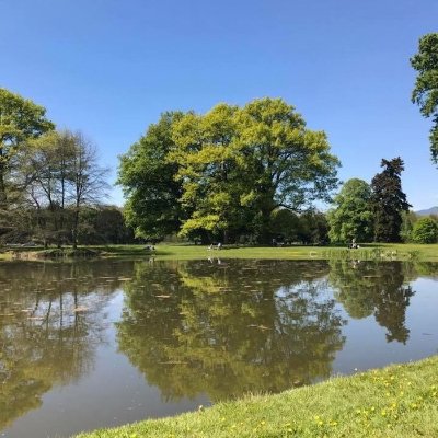 Le parc de Schoppenwihr