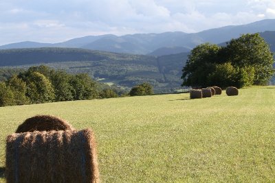 Colline du Bickenberg