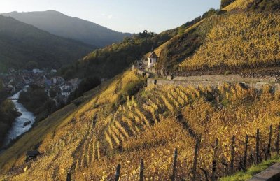 BL625 - A toute vapeur vers le pays des oiseaux