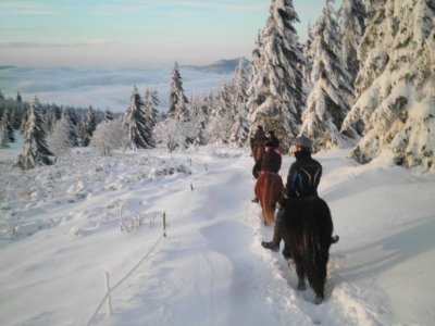 Le centre de loisirs équestres : Cheval Alsace