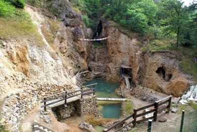 Le vignoble de la Cote 425