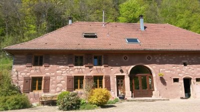 Ferme de la Fontaine - balade à dos d'âne