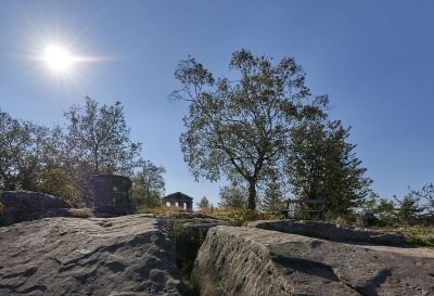La forêt domaniale du Donon
