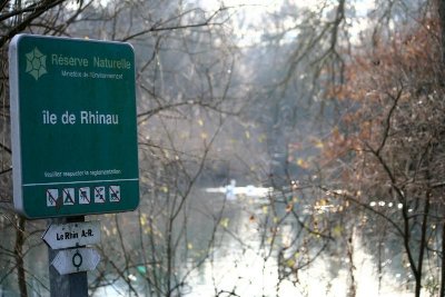 Réserve Naturelle Nationale de l'île de Rhinau