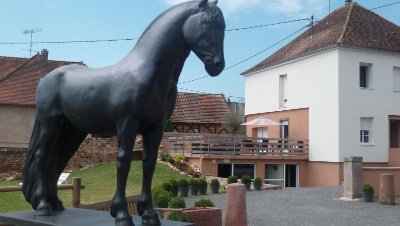 Centre équestre - Haras de Saint-Pierre