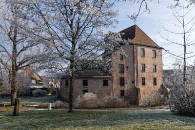 Château-Musée du Bucheneck