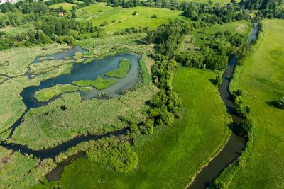 L'Ill*Wald, Réserve Naturelle Régionale du Ried de Sélestat