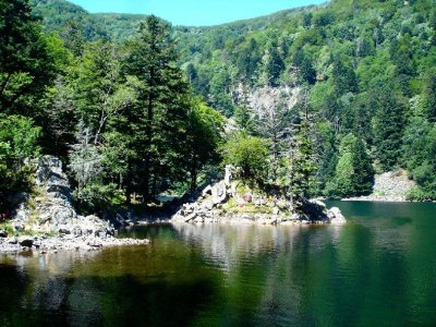 Lac de l'Altenweiher