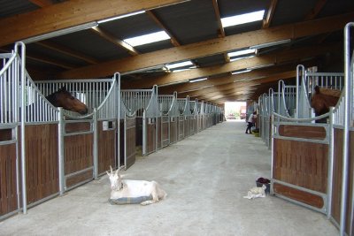 Centre équestre Slas jumping